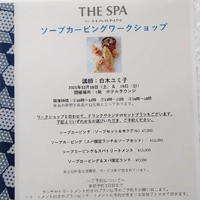 THE SPA by HARNN soap carving